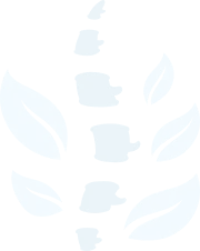 Über-Seite-klein-Hintergrundbild